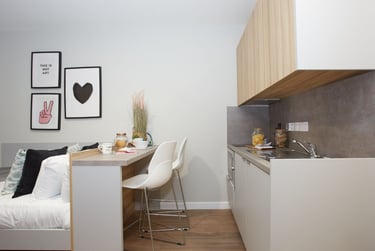 Bronze Studio at Gulson Gardens, Gulson Road, Coventry University, Coventry, CV12LA - Image 3